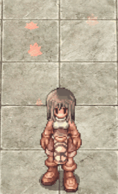 Falling Maple Leaves